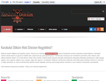 Tablet Screenshot of karabulutdokum.com